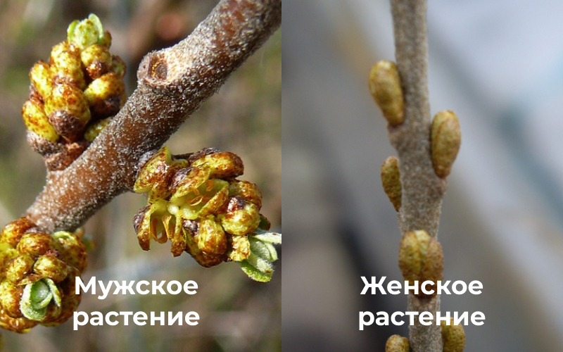Group 41.jpg Group 41.jpg