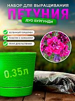 Набор для выращивания петунии "Дуо Бургунди"